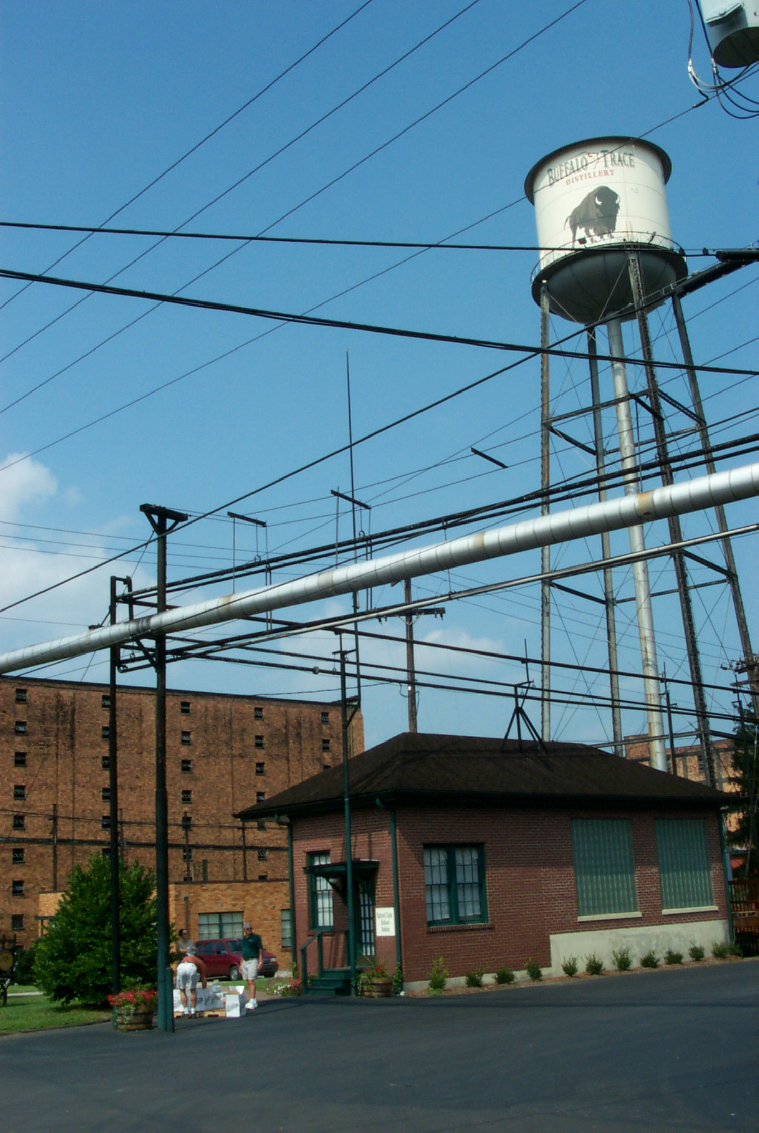 Buffalo Trace