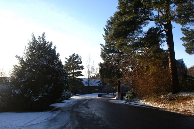 Tamdhu
