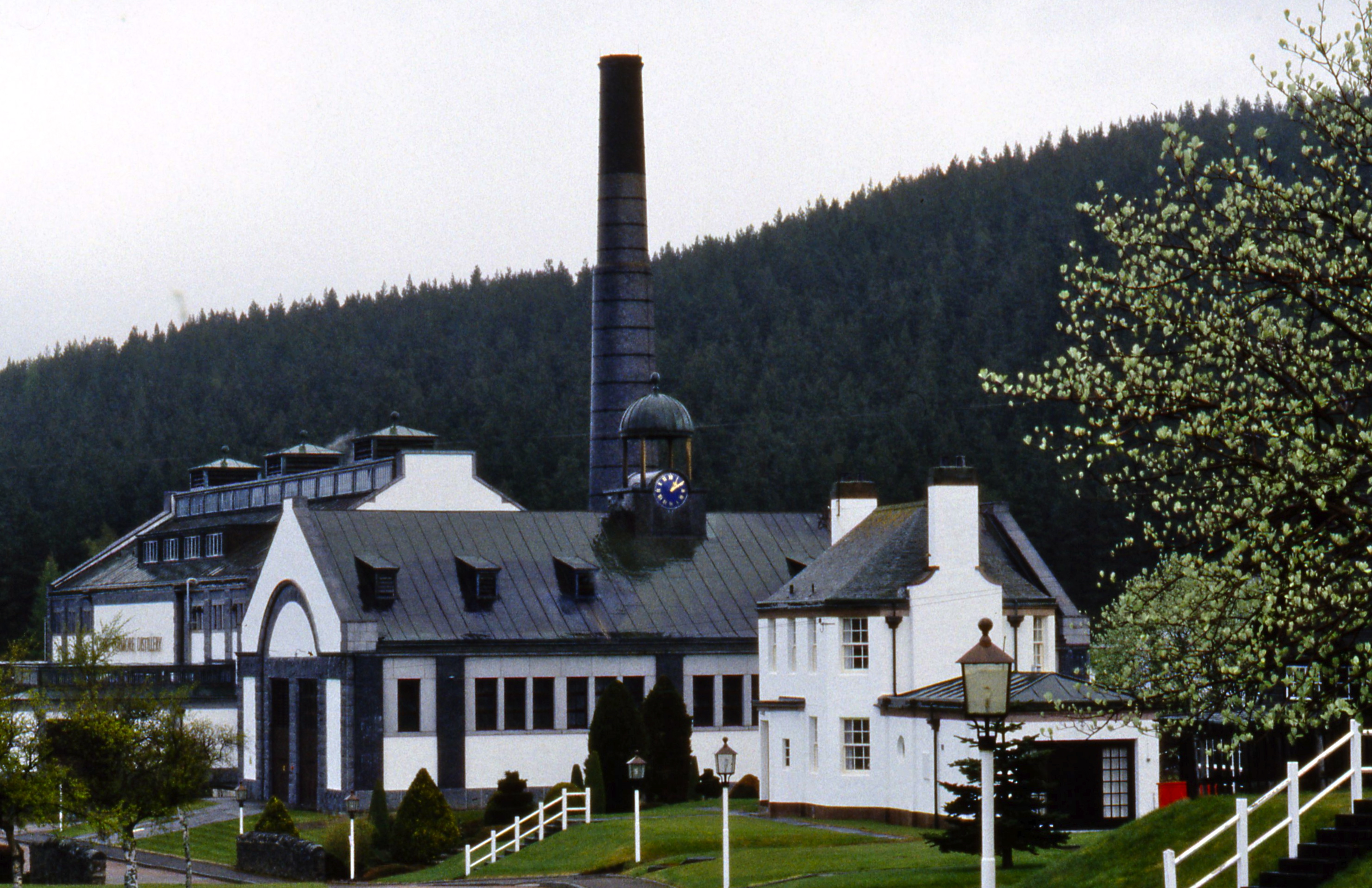 Tormore